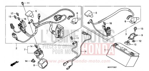 BATTERIE (CBF600S8/SA8/N8/NA8) CBF600N8 de 2008